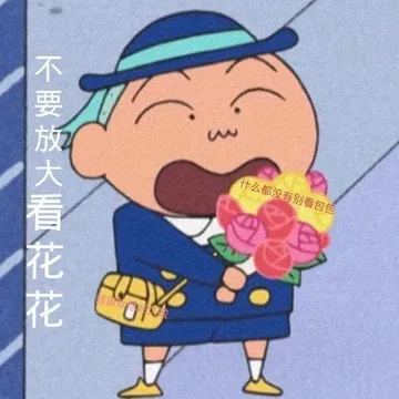 不要放大看花花什么都没有别看包包