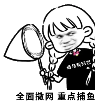 请与我网恋.全面撒网重点捕鱼