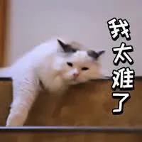 我太难了