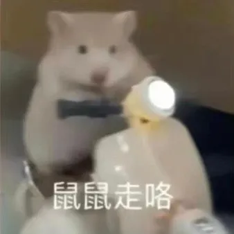 鼠鼠走咯