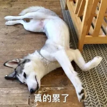 真的累了