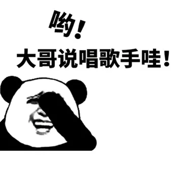 哟，大哥说唱歌手哇！