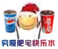 究极肥宅快乐水