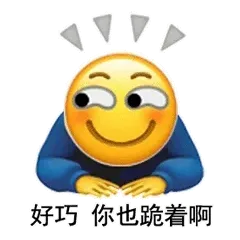 好巧你也跪着啊