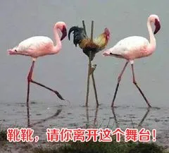 靴靴.请你离开这个舞台
