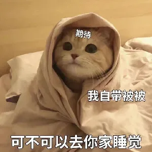 期待我自带被被可不可以去你家睡觉