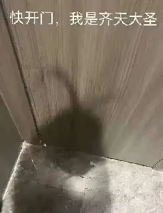 快开门，我是齐天大圣