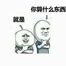 你算什么东西，就是
