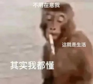 不用在意我这就是生活其实我都懂