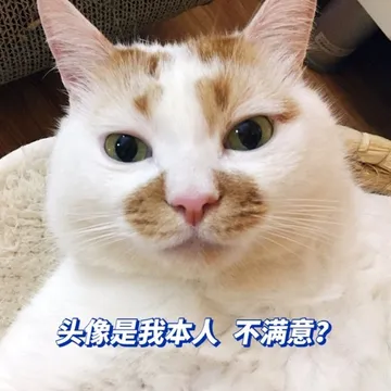头像是我本人不满意？