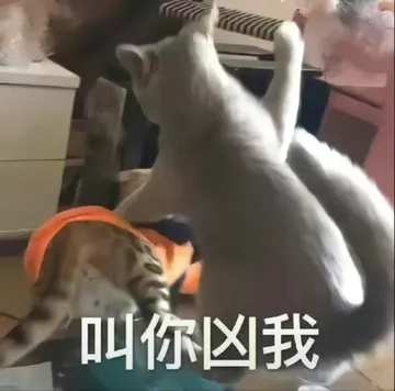 叫你凶我