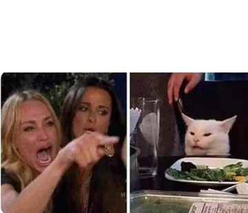 Lady screams at cat
