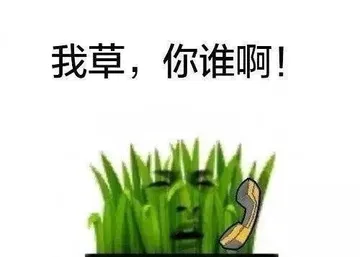 一点都不好笑真的。