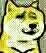doge