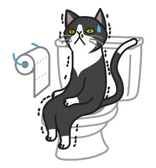 黑猫上厕所