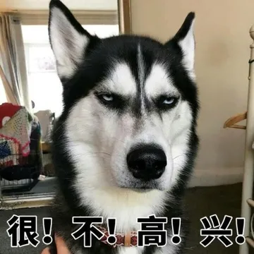 哈士奇与蘑菇头和熊猫人