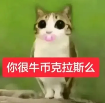 猫头鹰小猫表情包