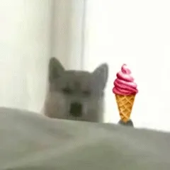 doge狗狗拿冰淇淋动图表情包