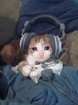 Sad Gamer cat with headphones crying while playing video games