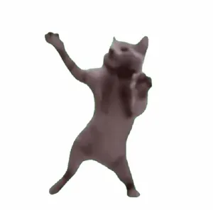 黑色跳舞小猫左右伸手摇摆表情包