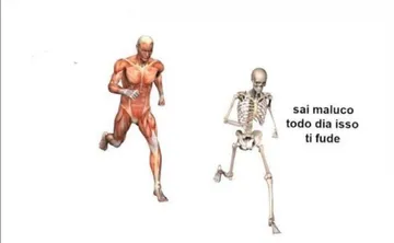 todo dia isso