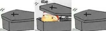滑稽棺材