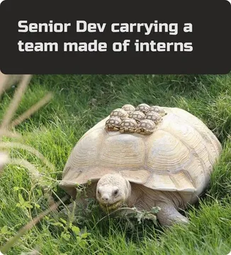 Senior Dev Starter Pack