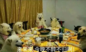 狗子：今晚不醉不归