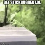 GET STICKBUGGED LOL GIF Template