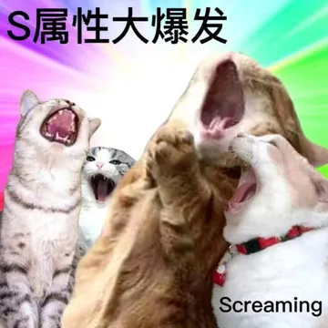 S属性大爆发Screaming