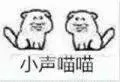 小声喵喵