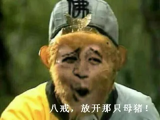 孙悟空:八戒.放开那只母猪