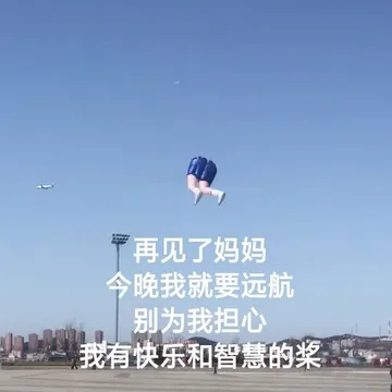 再见了妈妈今晚我就要远航，别为我担心，我有快乐和智慧的桨（飘在空中的骚断的腿）