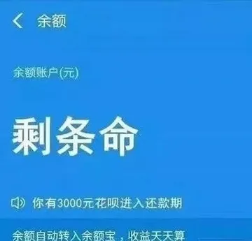余额余额账户(元)剩条命你有3000元花呗进入还款期余额自动转入余额宝,收益天天算