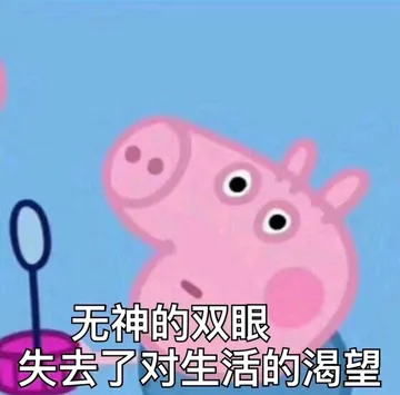我怎么觉得佩奇自带嘲讽昂，这眼神这表情好像在讲“你是傻子”
