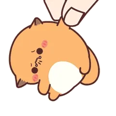 抓起来