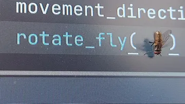 How To Fix This Bug