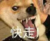 狗子：快走！
