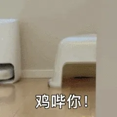 鸡哔你！