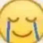 (泪了)