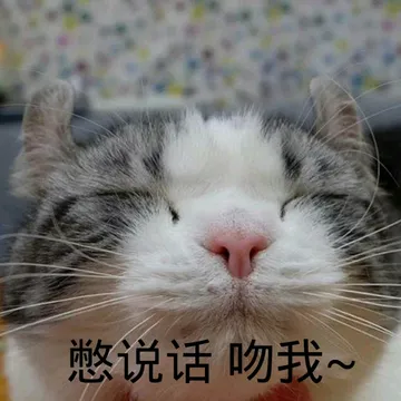 憋说话，吻我