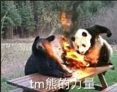 TM熊的力量