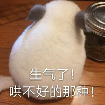 生气了！哄不好的那种！ - 近期热门无水印表情包
