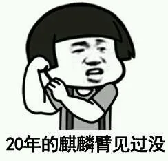 20年的麒麟臂见过没？