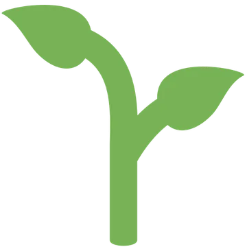Seedling