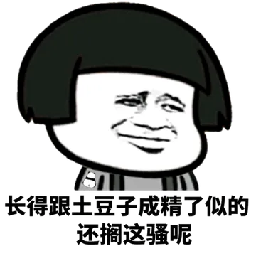长得跟土豆子成精了似的还搁这骚呢