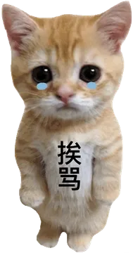 挨骂罚站小猫表情包