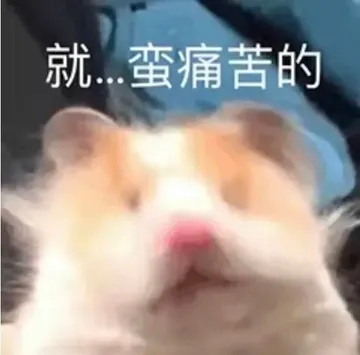 就蛮痛苦的