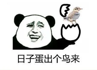 日子蛋出个鸟来