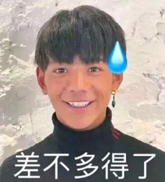 求一张丁真扎不多德勒的流汗表情包找到了